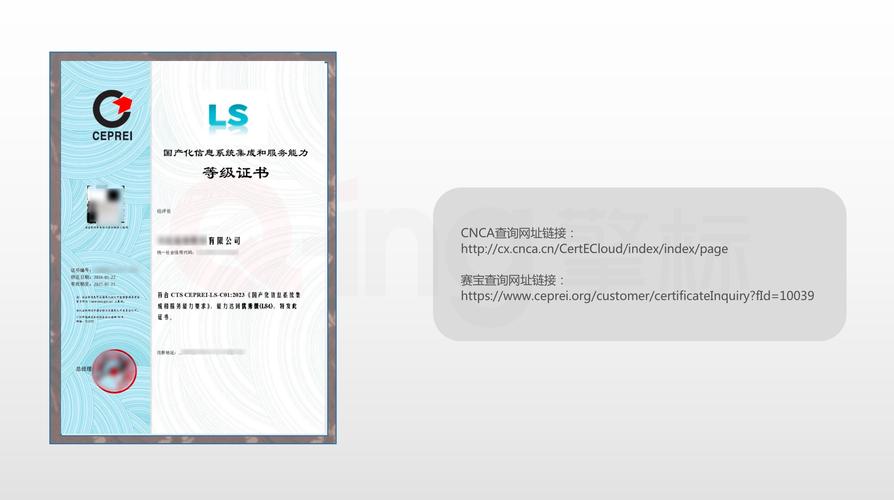 擎標科普|ls 國產化信息系統集成和服務能力評估